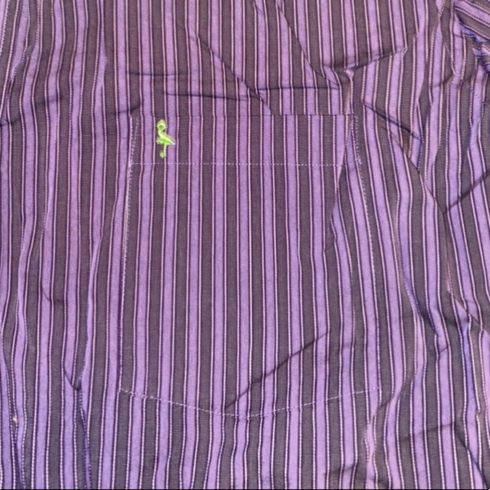 Tailorbyrd Striped Button Down - image 6